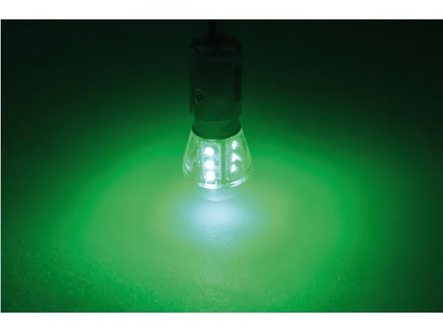 Ledlamp_groen_BAY15D_ongelijkzijdig_dubbelpolig_LT.B