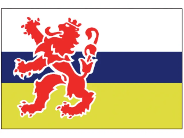 Limburgse_vlag_30x45cm_LT.27.213.030.C