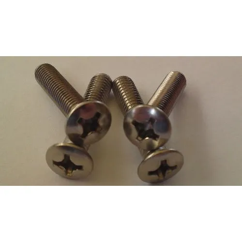 Metaalschroef_RVS_M6x40mm_6stuks_met_moeren_MS.B.