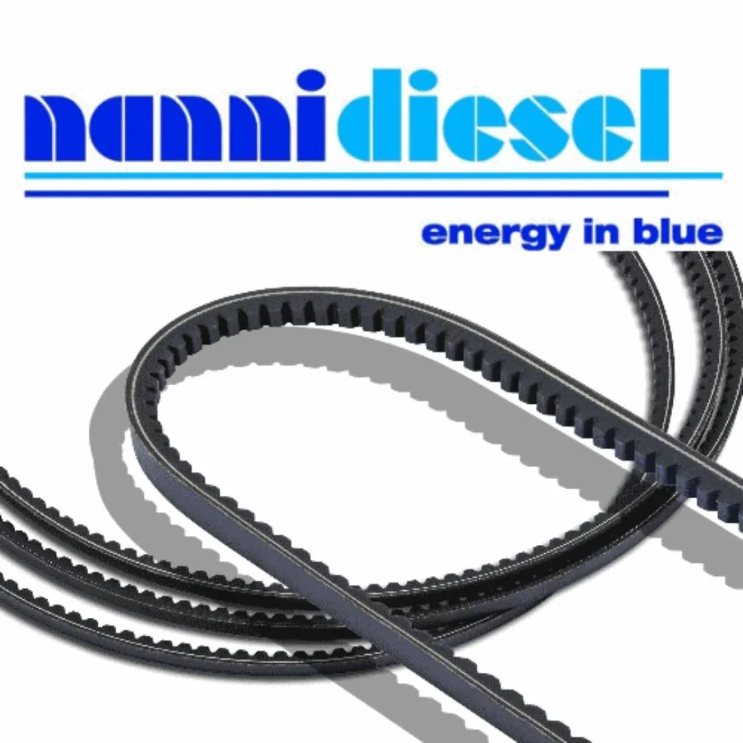 Nanni_Diesel_V_Snaren