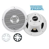Audiopipe_10_8243_500_Watt_marine_subwoofer