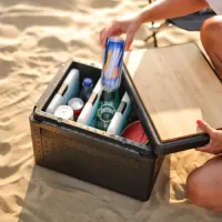 Boxio_Cool_Pack_koelelement_voor_de_Boxio_Cool_4