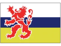 Limburgse_vlag_30x45cm_LT.27.213.030.C