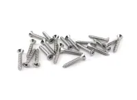 Plaatschroef_platkop_2_9x16mm_RVS_316_Philips_kruis_1