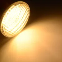 LED_Zalinglamp_Vervangingslamp_par36_3