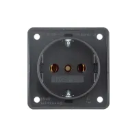 Berker_wandcontactdoos_2polig_met_randaarde_250V_antraciet