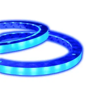Audiopipe_Led_ring_voor_8_8243_carbon_speakers_blauw