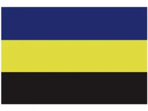 Gelderse_vlag_30x45cm_LT.27.207.030.B