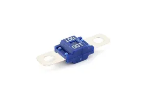 Midi_zekering_100Ampere_blauw_