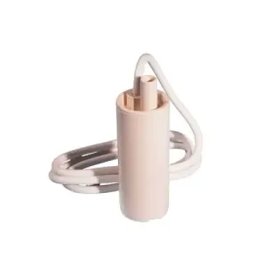 Whale_GP1002stndaard_12Volt_sub_pomp_vatpompje